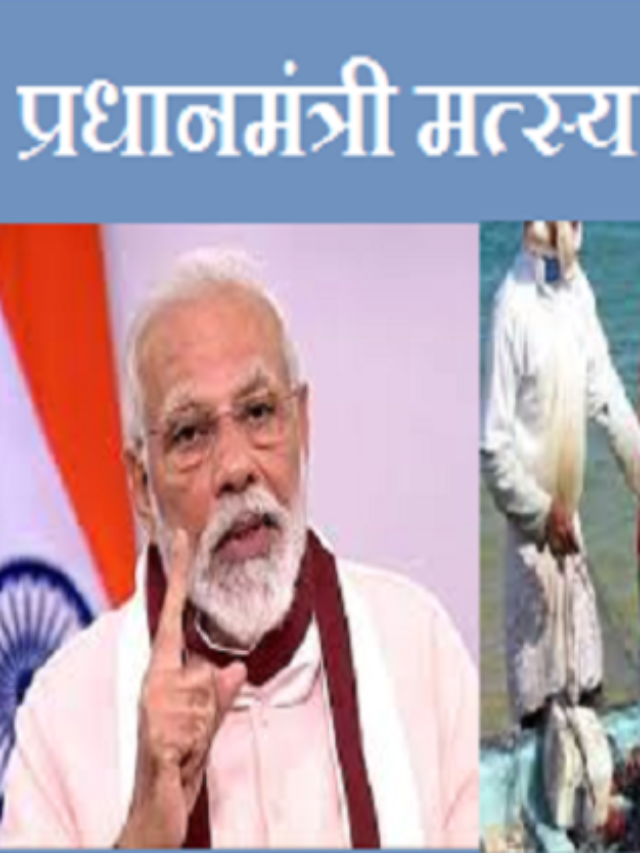 PM Matsya Sampada Yojana : मछली पालन व्यवसाय हेतु 40-60% का अनुदान?